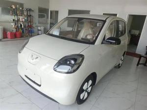 wuling hongguang mini ev 2025 Electric