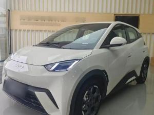 byd seagull 2024 Electric