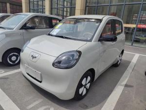 wuling hongguang mini ev 2025 Electric
