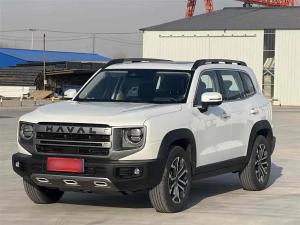 Haval Dargo 2024 Petrol