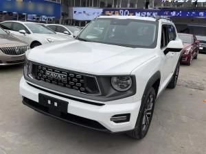 haval h-dog 2024 Petrol