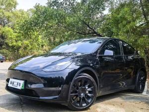 Tesla Model Y 2021 Electric