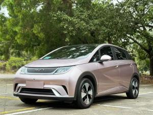 byd dolphin 2023 Electric