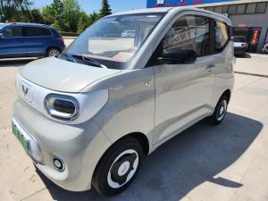 wuling hongguang mini ev 2025 Electric