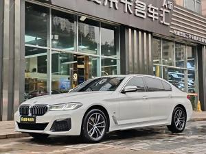 bmw 5 series 2023 Petrol