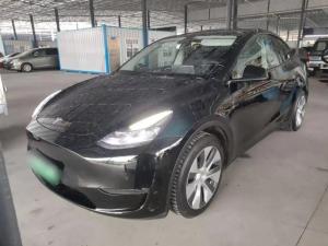 Tesla Model Y 2021 Electric