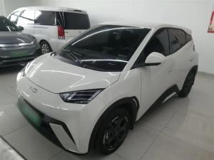 byd seagull 2024 Electric