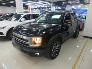 Haval Dargo 2024 Petrol