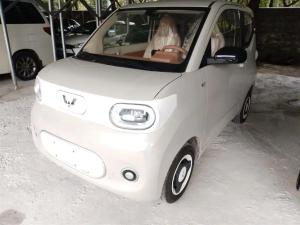wuling hongguang mini ev 2025 Electric
