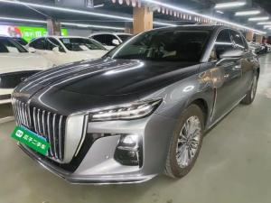 Hongqi H5 2023 Petrol