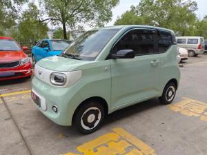 wuling hongguang mini ev 2025 Electric