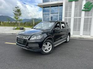 mustang t70 2016 Petrol