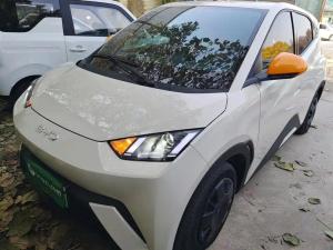 BYD Seagull 2024 Electric