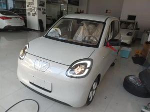wuling hongguang mini ev 2025 Electric