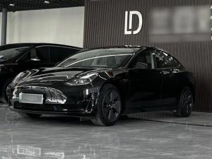 Tesla Model 3 2021 Electric