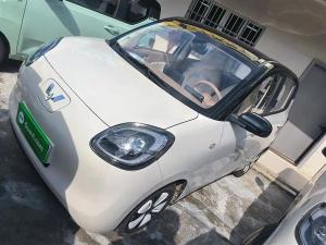 wuling hongguang mini ev 2025 Electric