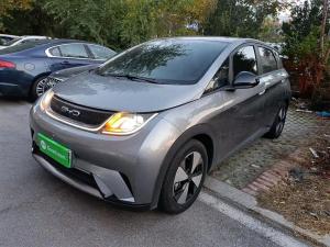 byd dolphin 2023 Electric