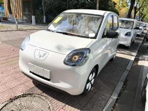 wuling hongguang mini ev 2025 Electric