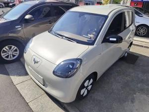 wuling hongguang mini ev 2025 Electric