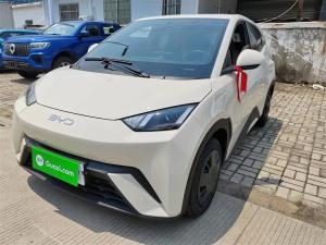 byd seagull 2025 Electric