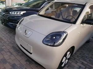 wuling hongguang mini ev 2025 Electric