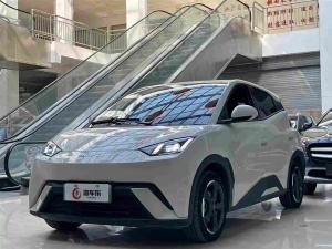 byd seagull 2023 Electric
