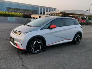 byd dolphin 2022 Electric