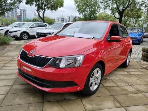 skoda fabia 2019 Petrol