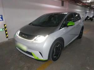 byd dolphin 2022 Electric