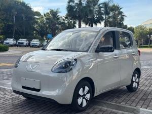 wuling hongguang mini ev 2025 Electric