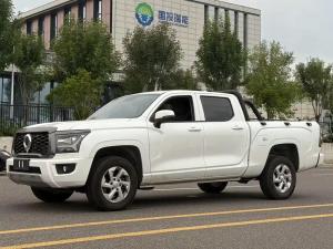 great wall king kong poer 2024 Petrol