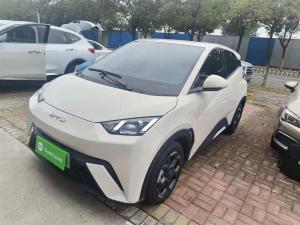 byd seagull 2025 Electric