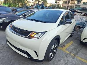 byd dolphin 2025 Electric