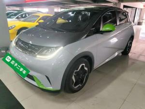 byd dolphin 2022 Electric