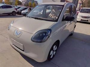 wuling hongguang mini ev 2025 Electric