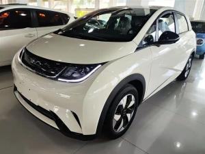 byd dolphin 2025 Electric