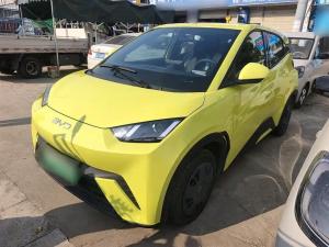 BYD Seagull 2024 Electric