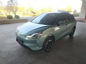 neta v 2021 Electric