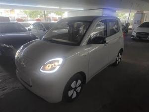 wuling hongguang mini ev 2025 Electric