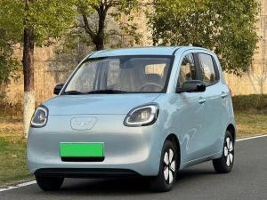 wuling hongguang mini ev 2025 Electric