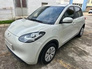 wuling bingo 2024 Electric