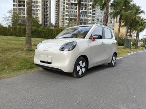 wuling hongguang mini ev 2025 Electric