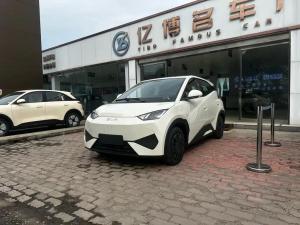 BYD Seagull 2025 Electric