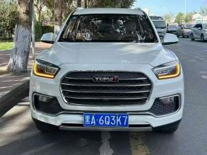 mustang t80 2018 Petrol