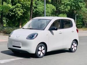 wuling hongguang mini ev 2025 Electric