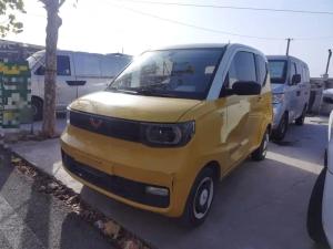 wuling hongguang mini ev 2021 Electric