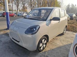 wuling hongguang mini ev 2025 Electric