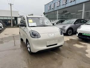wuling hongguang mini ev 2025 Electric