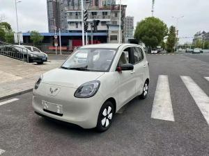 wuling hongguang mini ev 2025 Electric