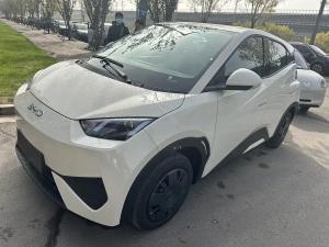 byd seagull 2025 Electric